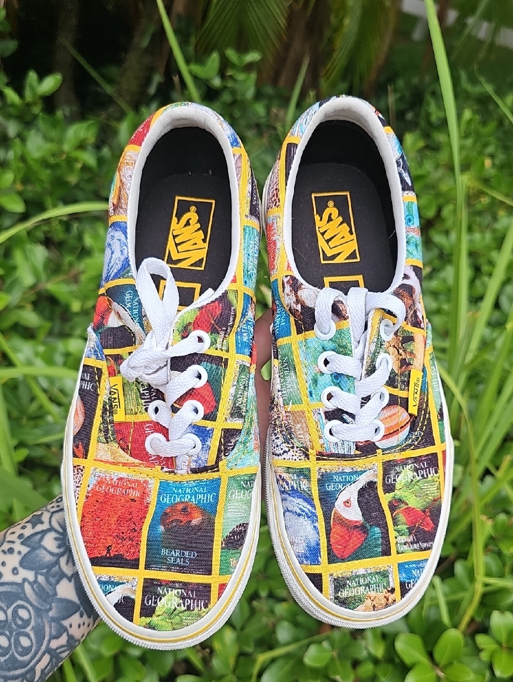 Vans National Geographic Print Canvas Sneakers - Multicolor